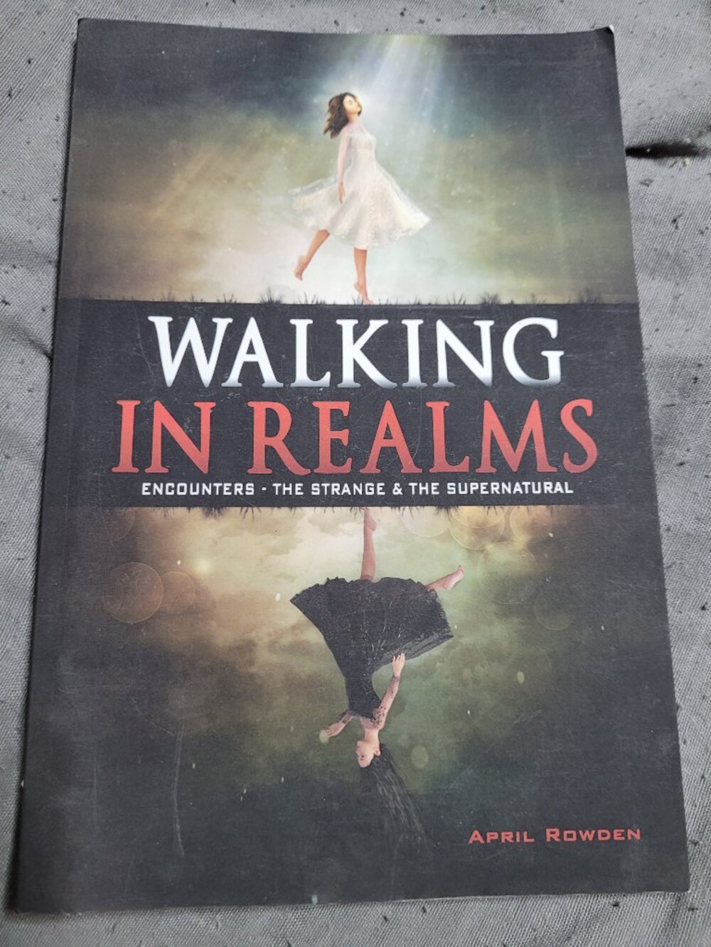 Walking in Realms : Encounters - the Strange & the Supernatural by April Rowden